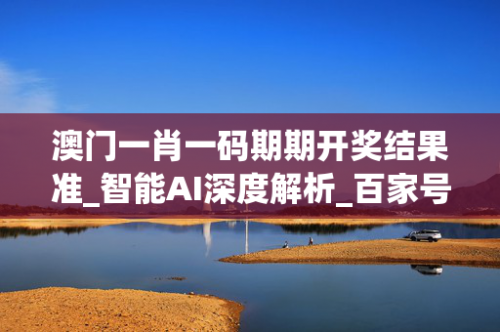 澳门一码一特一中准选今晚今晚澳门2023最准资料，探寻市场趋势与投资机会