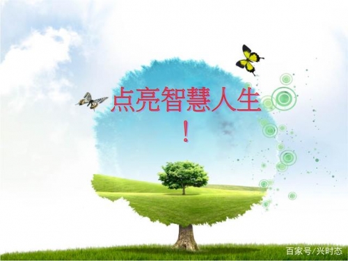 选天录，探寻自然之美与人生智慧