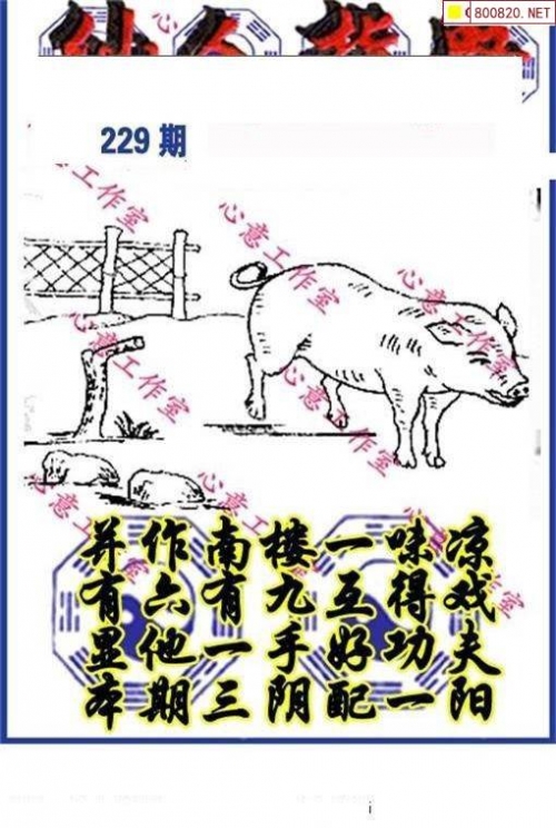 乖乖图库资料大全乖乖图库资料大全-第1张图片