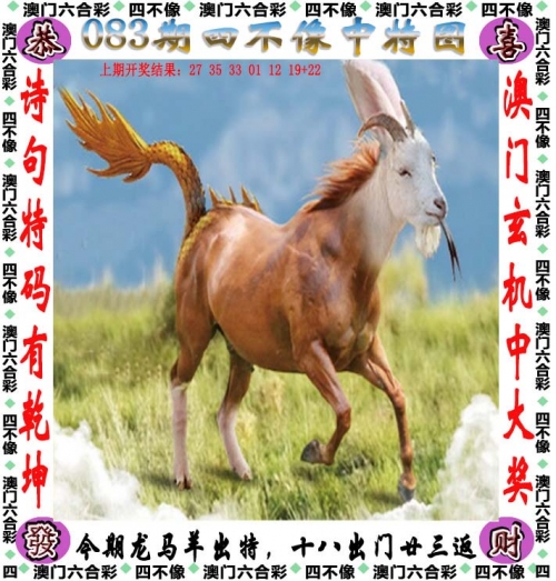 澳门123696六下彩，2020年养母的魅力与故事-第1张图片