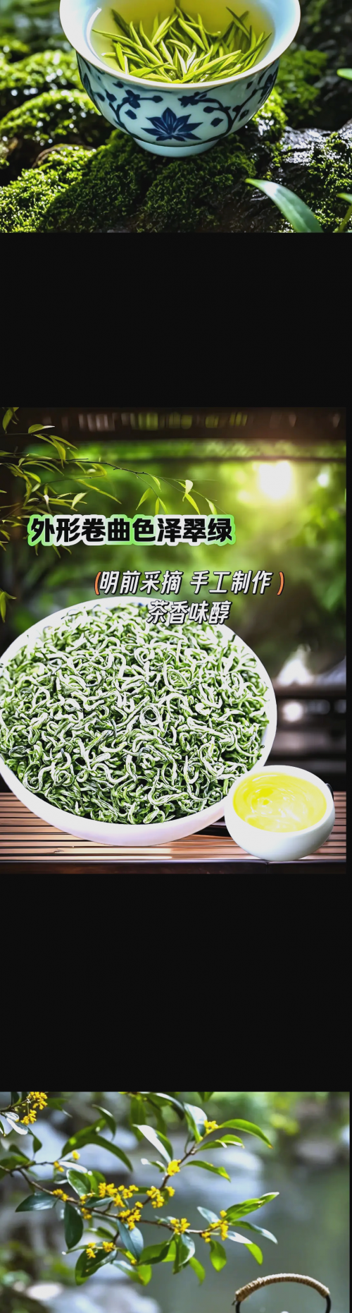 雪峰毛尖是什么茶雪峰毛尖，品味自然之珍-第2张图片