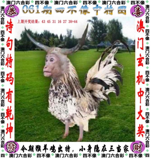 澳门精准免费资料大全聚侠网什么生肖长得丑澳门精准免费资料大全聚侠网介绍-第2张图片