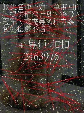 幸运28预测网一99预测幸运28预测