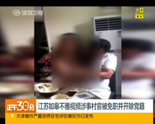 江苏村干部4分40秒视频解析-第2张图片