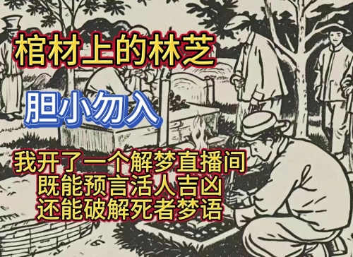 2345解梦大全免费查询梦2345解梦大全免费，解锁梦境神秘世界-第1张图片