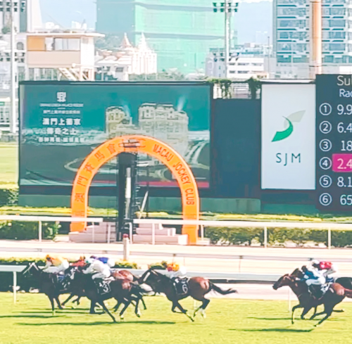 香港赛马官网香港赛马官网，探索赛马世界的门户-第2张图片