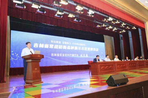 吉林十一选五走势图分析