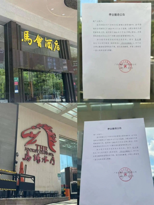 马会传真13262cc的功能介绍马会传真13262CC，一场独特的视觉盛宴-第2张图片