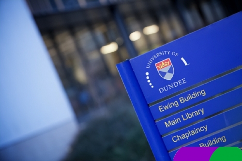 王中王一肖一特一中一MBA王中王一肖一特一中MBA，多元发展之路-第2张图片