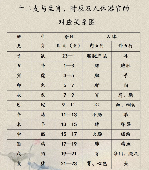 正确的十二时辰对照表正确的十二时辰对照表-第2张图片