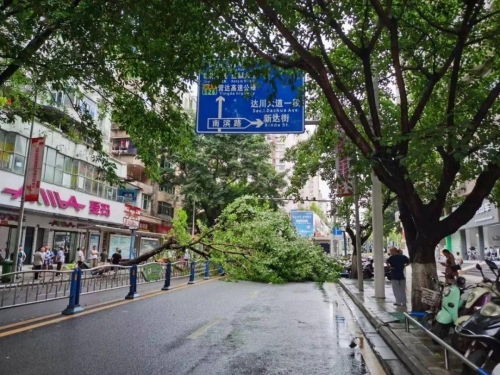 达州南外交通事故达州南外交通事故，悲痛与教训