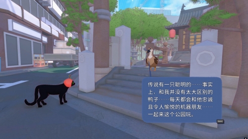 小猫咪大城市小猫咪在大城市