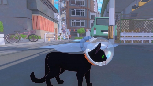 小猫咪大城市小猫咪在大城市-第2张图片