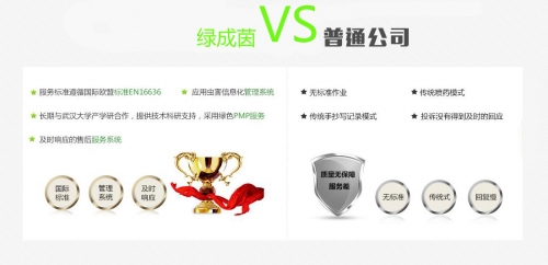 博狗 网址博狗网址Bogou.net，探索网络世界的神秘之地-第1张图片