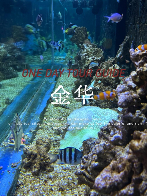 金华动物园之旅