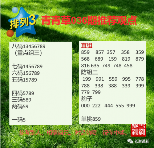 一肖三码一肖三码，揭秘彩票投注策略-第1张图片
