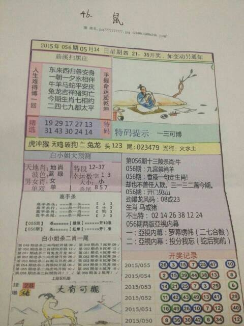 今日特马是什么号码今日特马，探索与发现-第2张图片