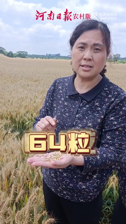 河南日报农村版电子版，数字化时代的乡村新篇章-第1张图片