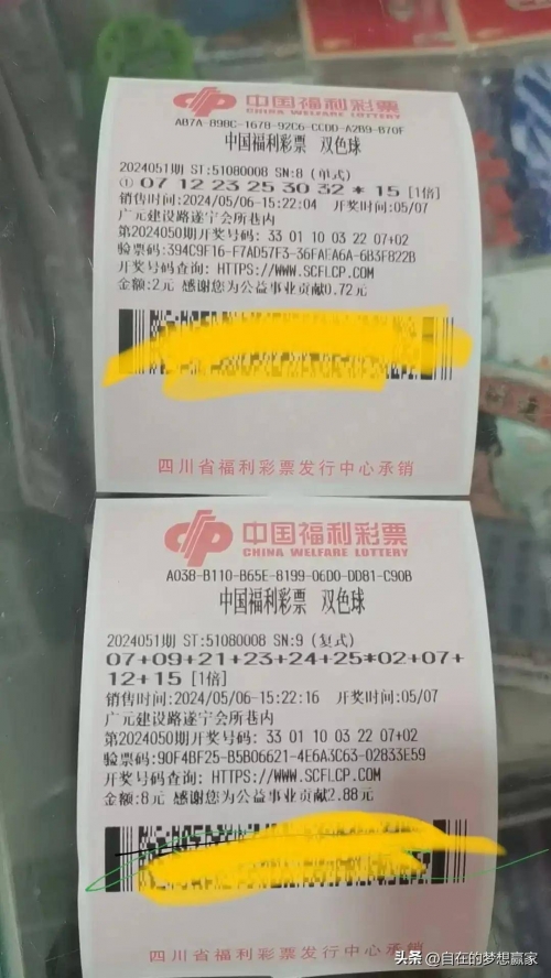 双色球100期双色球100期，彩票奇迹的探索-第2张图片