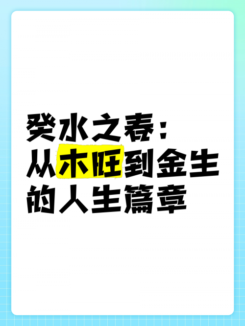 喜乐乐的人生篇章-第3张图片