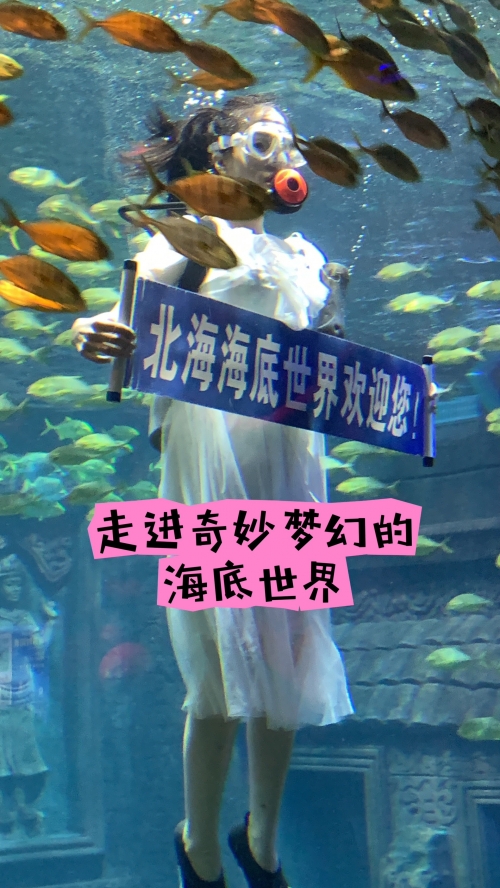 小鱼儿主页，探索无限可能