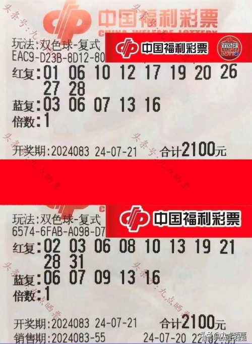 天f彩票天霁彩票网，探索彩票新世界