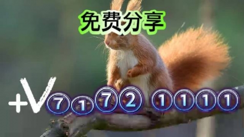 澳门六开彩最准免费资料