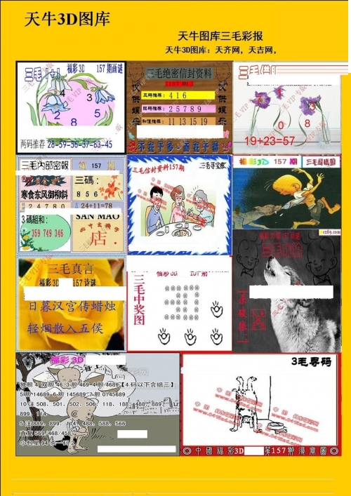 天牛红五图库图天牛红五图库大全-第2张图片