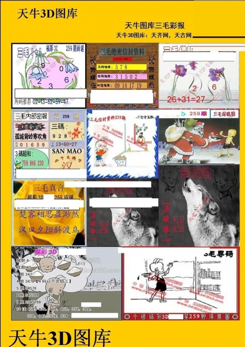 天牛红五图库图天牛红五图库大全