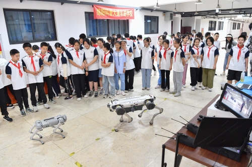 红五3d红五3D，沉浸式体验的未来科技