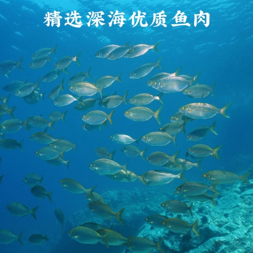 潮州鱼丸哪一家最正宗潮州大鱼丸