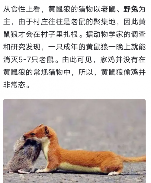 黄大仙救世网资料黄大仙救世网，探索网络资源中的神秘力量-第3张图片