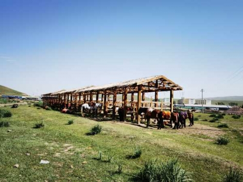 到阜阳600里阜阳之旅，千里之行-第1张图片