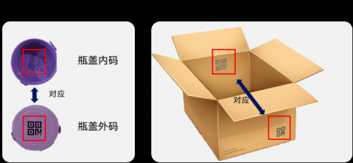 一码一肖一码一肖，解锁彩运新世界