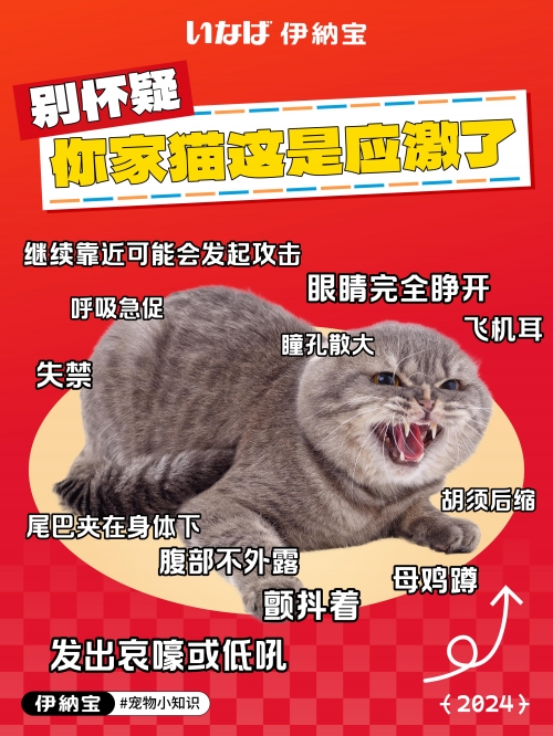毛皮搜集专家，探寻皮毛世界的奥秘-第1张图片