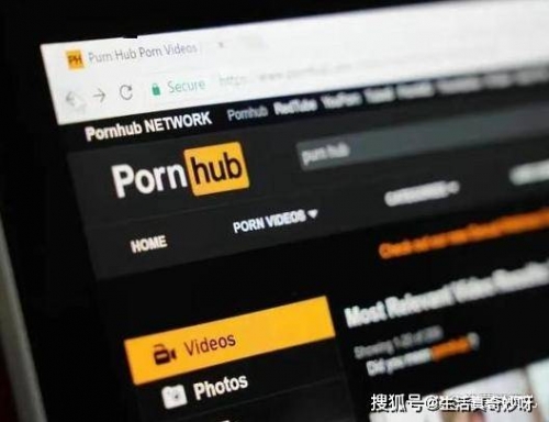 荿人网站网址大全-第2张图片