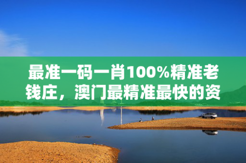 澳门精准100%一肖一码免费，策略与技巧-第1张图片