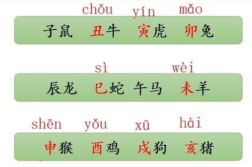 12生肖排列顺序表和年龄十二生肖排列顺序表-第1张图片