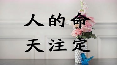 双色球最新开奖结果查询双色球最新开奖结果揭晓-第2张图片