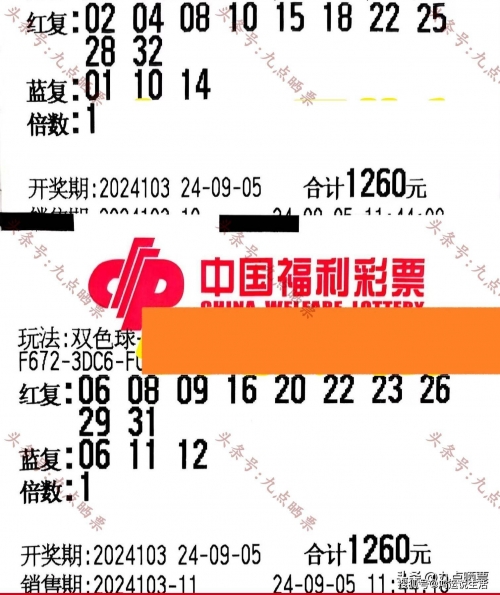 彩票至尊网安卓版彩票至尊网，探索彩票新世界-第3张图片