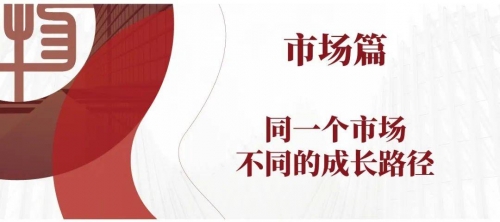现场开码结果开奖大全现场开码，把握市场脉搏的精准之举-第2张图片
