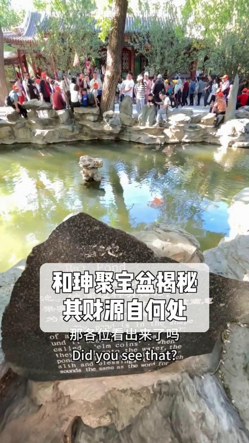 聚宝盆心水论坛聚宝盆心水论坛，财富与智慧的交汇之地-第1张图片