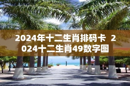 2024最新12生肖号码揭秘