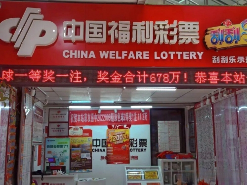 山东福利彩票网，福利彩票的权威平台