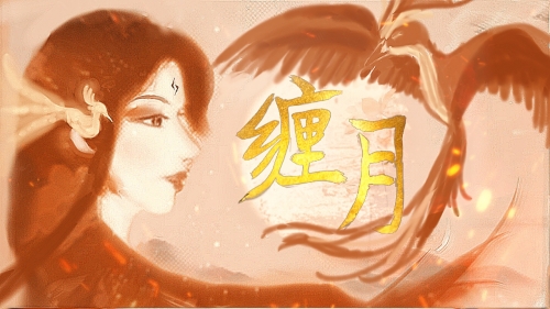 夜月直播5.5，直播盛宴的魅力与体验