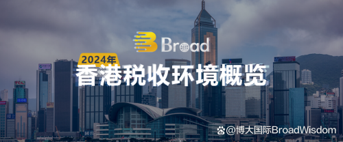 2024香港港六开奖记录2024香港港六开奖记录概览