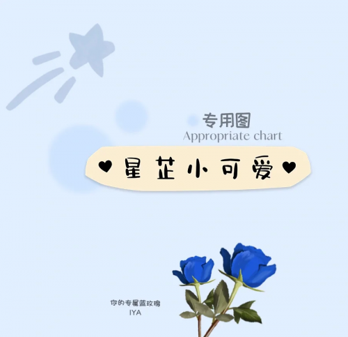 百合图库开奖结果公布5577tk百合图库，探索神秘百合之美-第3张图片