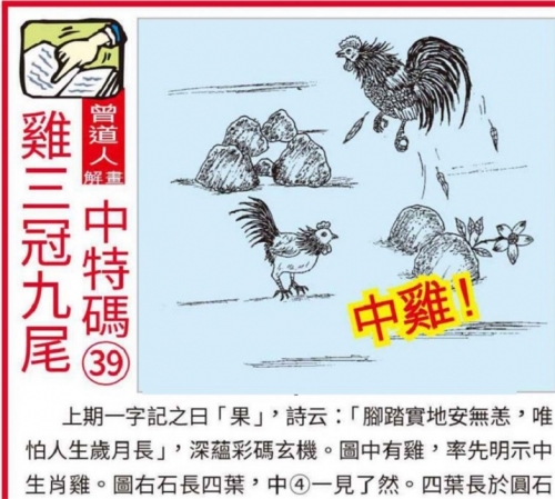 正版四不像图今天象图正版四不像，正版与独特性的探索