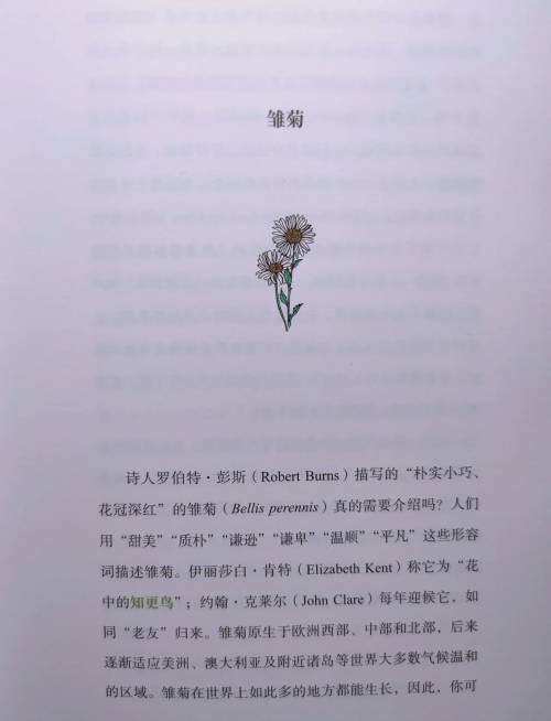 爱原理彩爱原理彩，情感的交织与色彩的魅力-第1张图片
