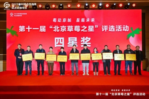 河北11选五开奖结果揭晓-第1张图片